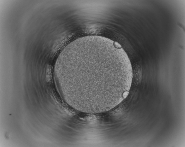 X0000103960416200810311619