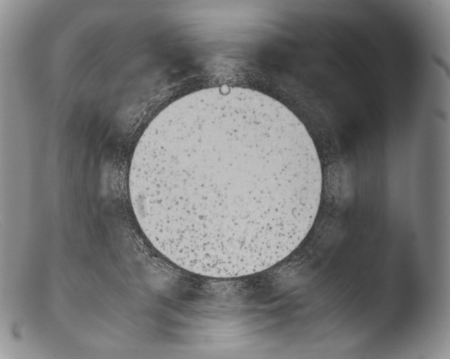 X0000103960417200810311618
