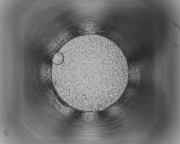 X0000103960418200810311618