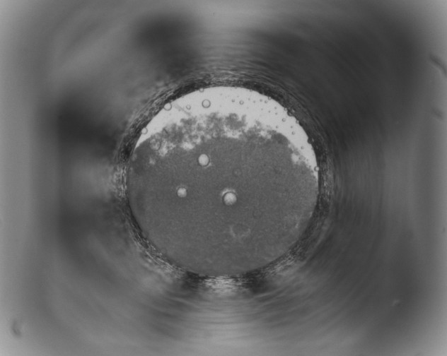 X0000103960419200810311618
