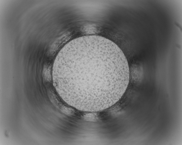 X0000103960422200810311618