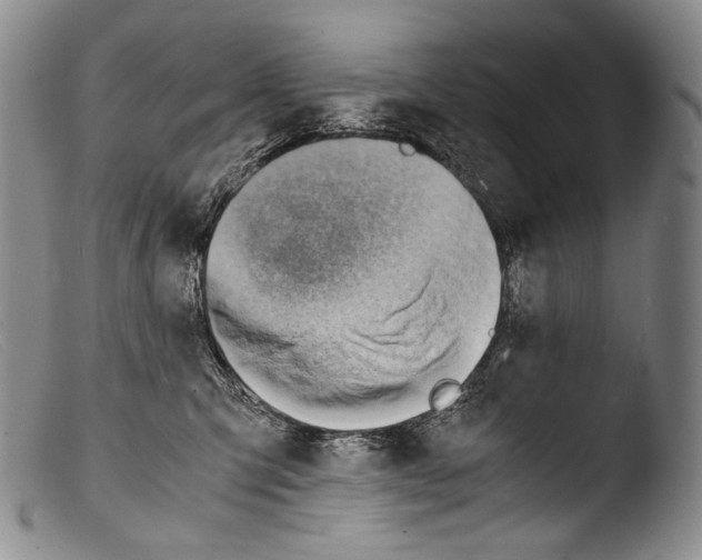 X0000103960423200810311618