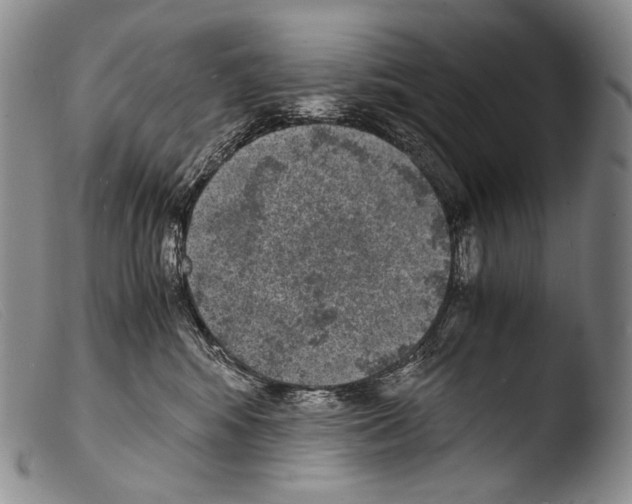 X0000103960424200810311618