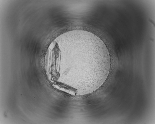 X0000103960425200810311618