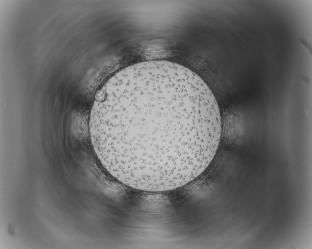X0000103960426200810311618