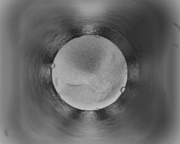 X0000103960427200810311618