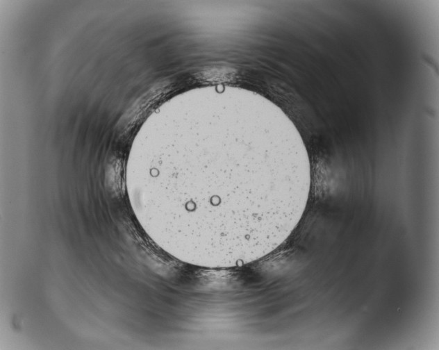 X0000103960428200810311618
