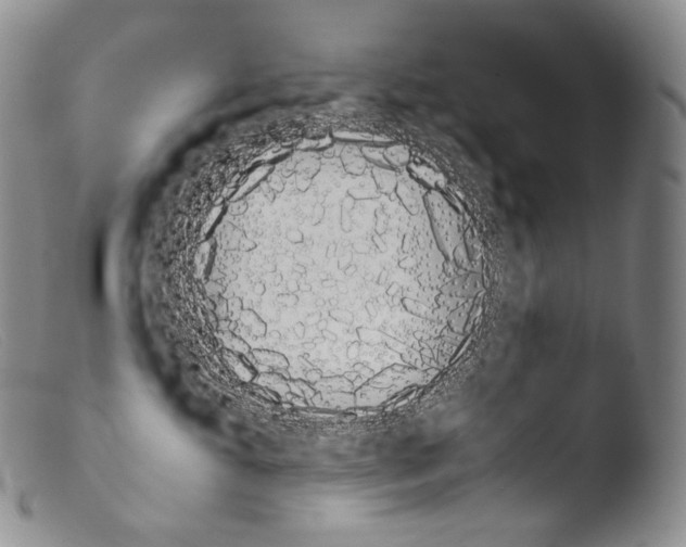 X0000103960429200810311618