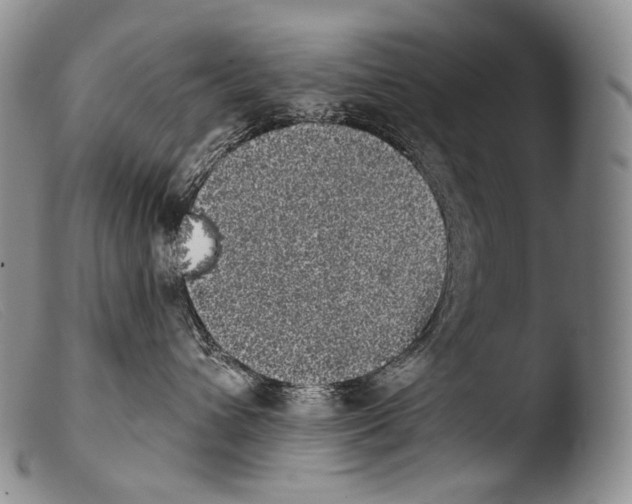 X0000103960432200810311618