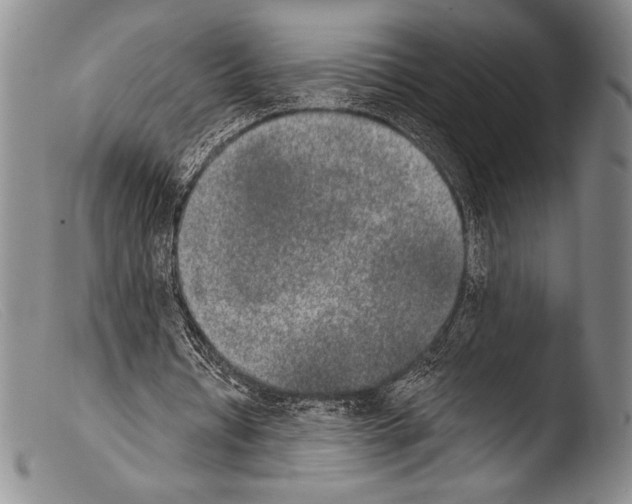 X0000103960434200810311617