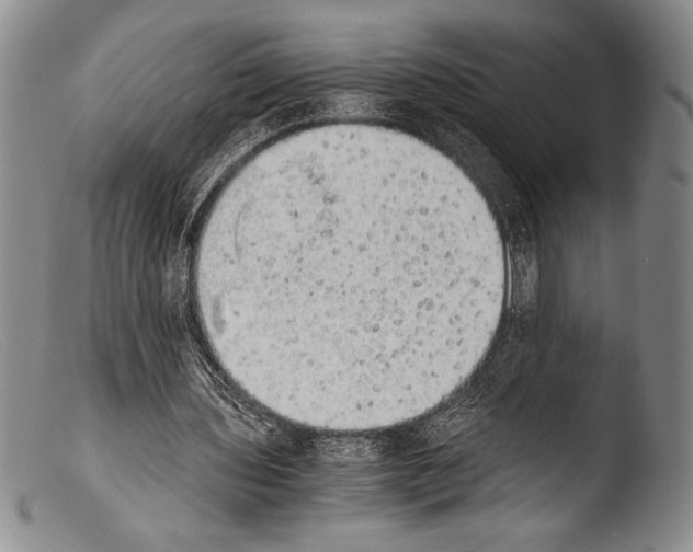 X0000103960435200810311617