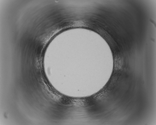 X0000103960436200810311617