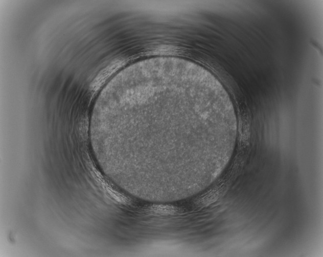 X0000103960437200810311618