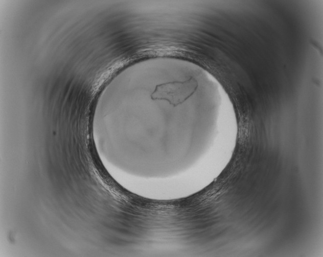 X0000103960438200810311618