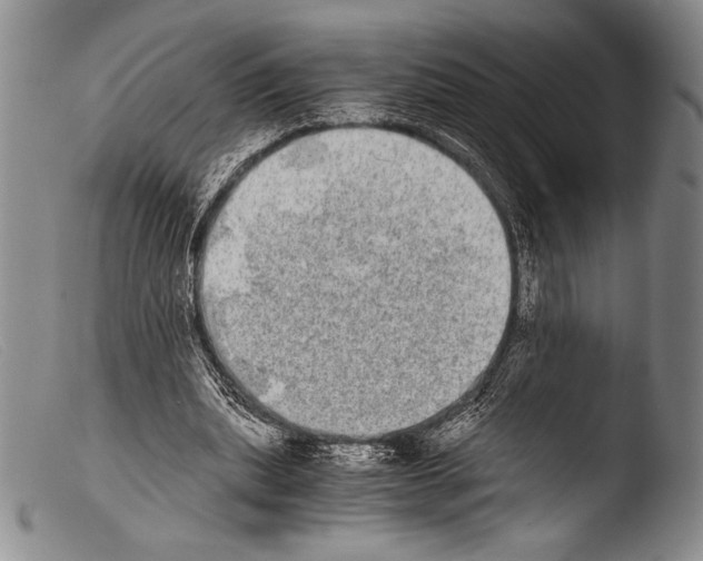 X0000103960439200810311618