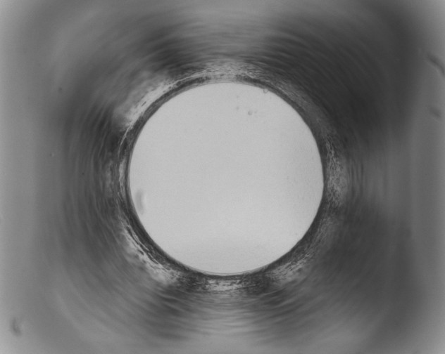 X0000103960440200810311618