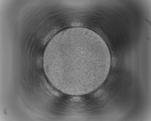 X0000103960441200810311618