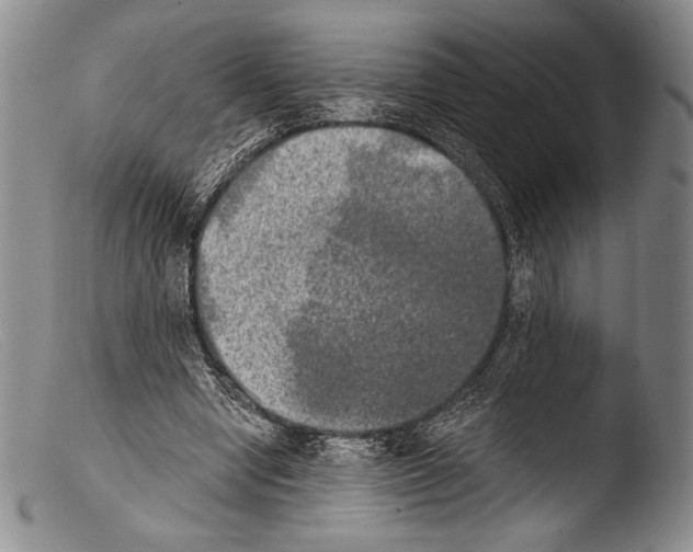 X0000103960442200810311618