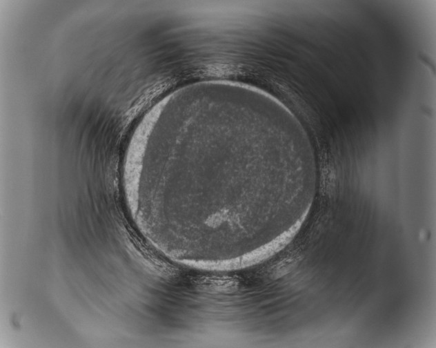 X0000103960443200810311618