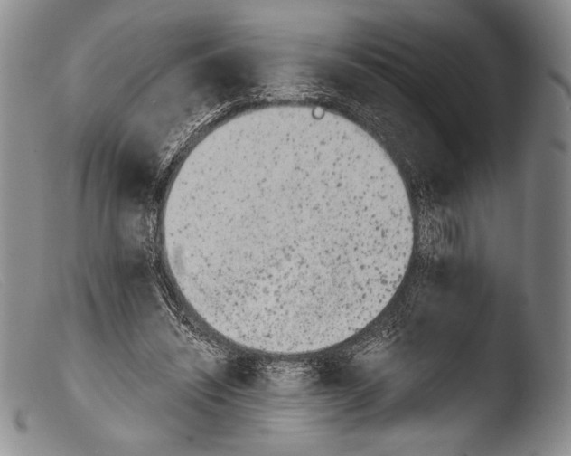 X0000103960444200810311618