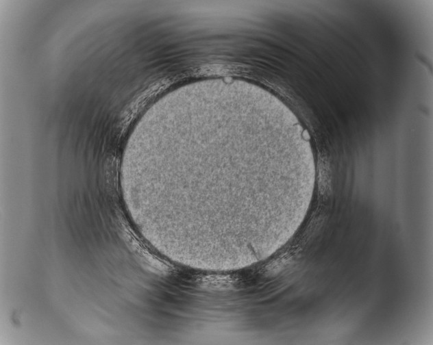 X0000103960445200810311618