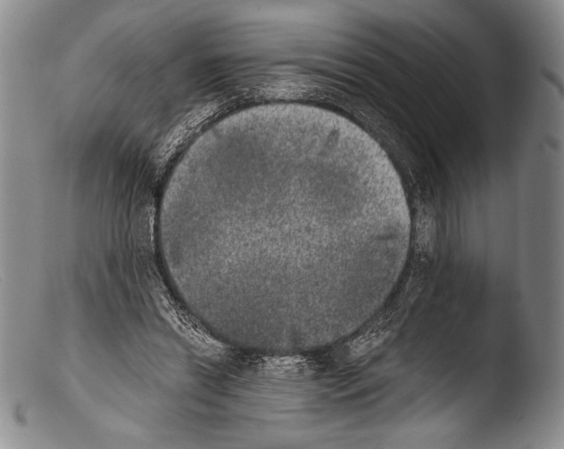 X0000103960446200810311618
