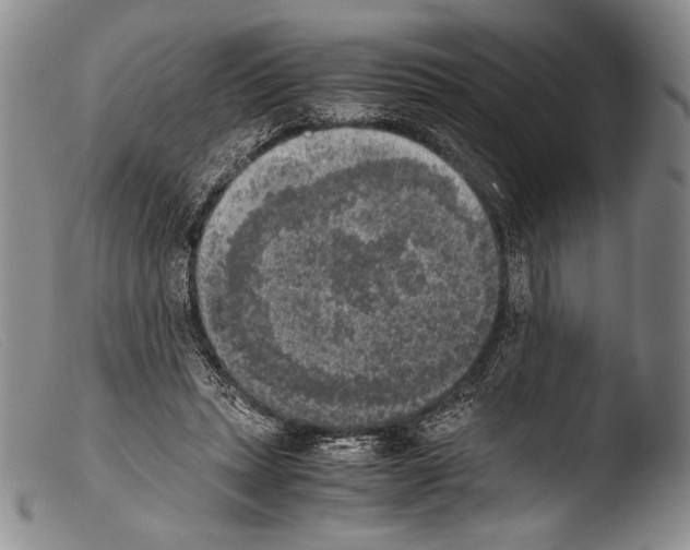 X0000103960447200810311618