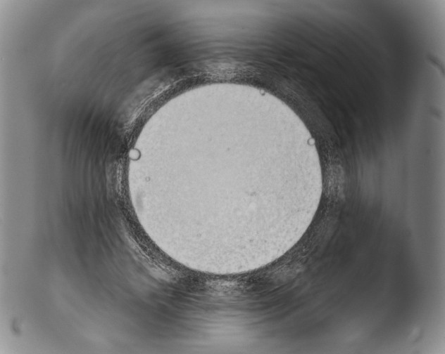 X0000103960448200810311618
