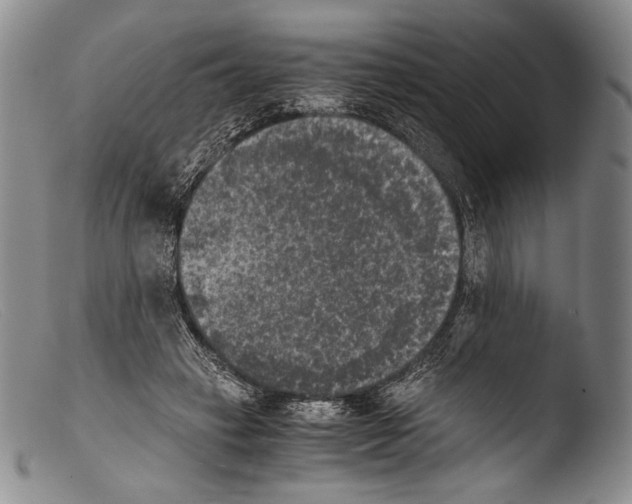 X0000103960449200810311618