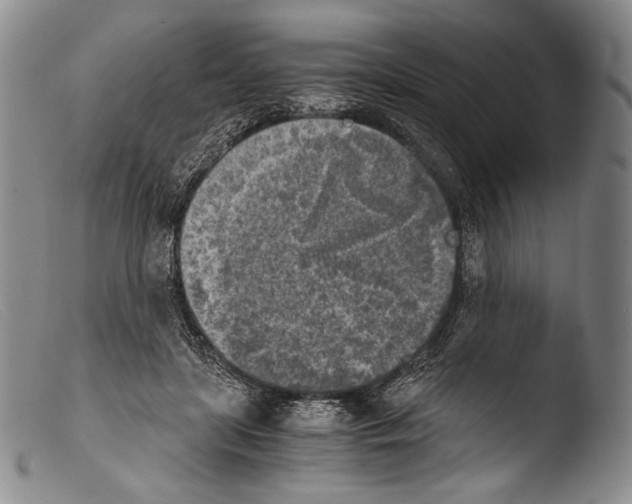 X0000103960451200810311618
