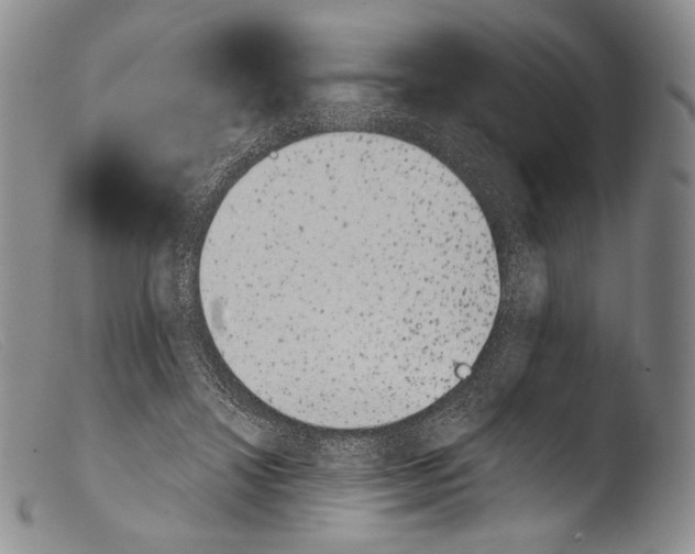X0000103960452200810311618