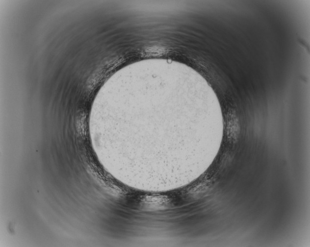 X0000103960455200810311618