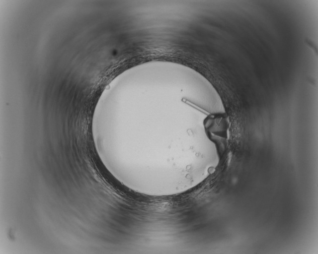 X0000103960456200810311618