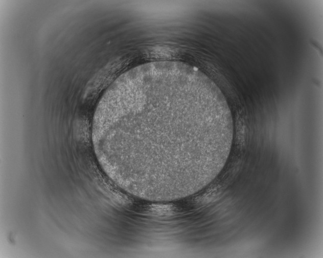 X0000103960457200810311618