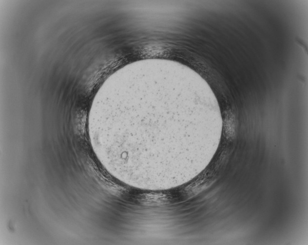X0000103960458200810311618