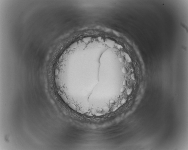 X0000103960459200810311618