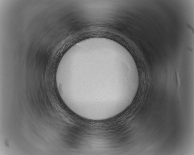 X0000103960460200810311618