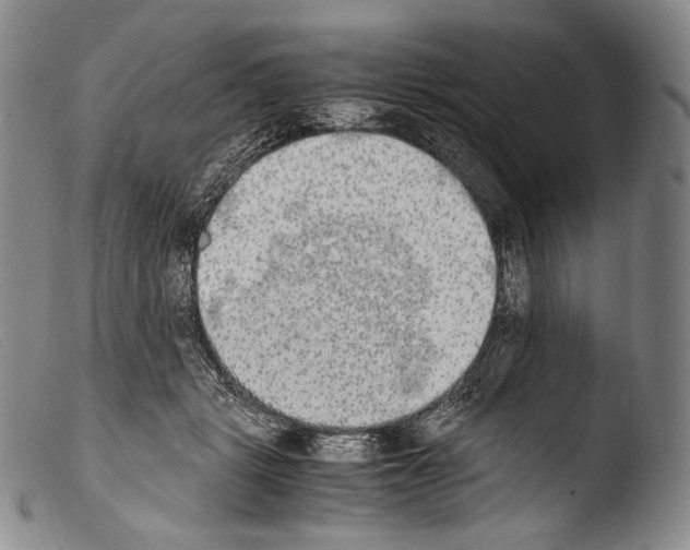 X0000103960461200810311618