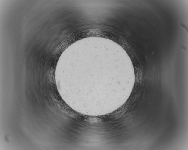 X0000103960464200810311618