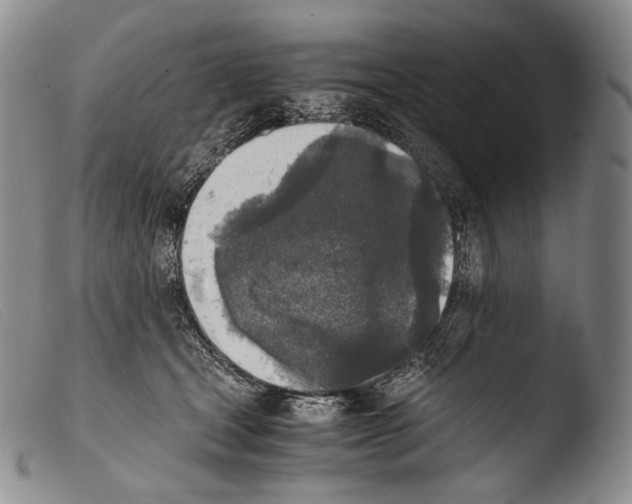 X0000103960465200810311618
