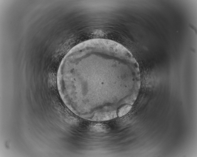 X0000103960467200810311618