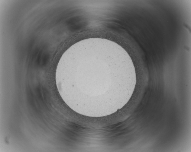X0000103960468200810311618