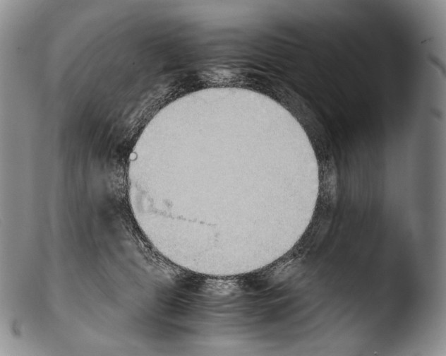 X0000103960469200810311618