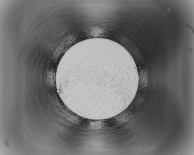 X0000103960470200810311618