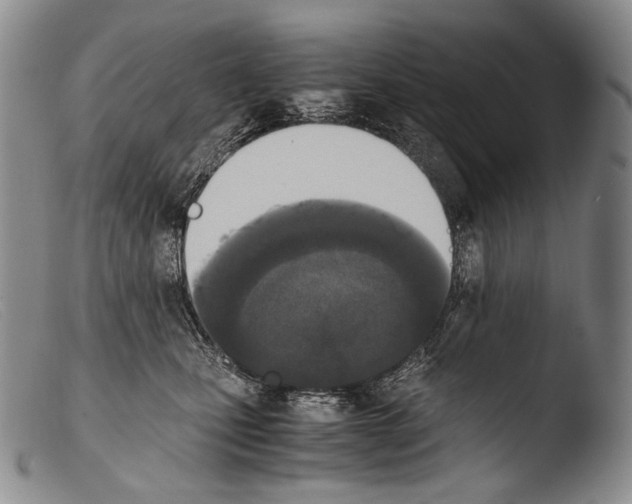 X0000103960471200810311618