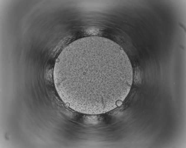 X0000103960473200810311618