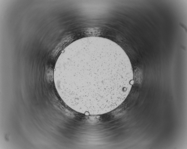X0000103960474200810311618