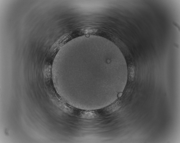 X0000103960475200810311618