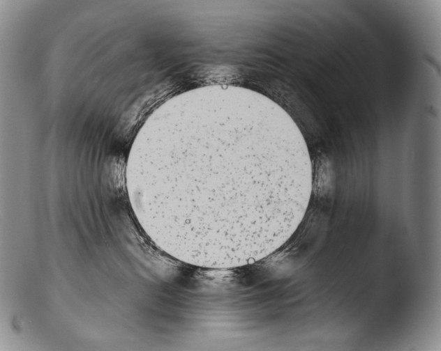 X0000103960478200810311618
