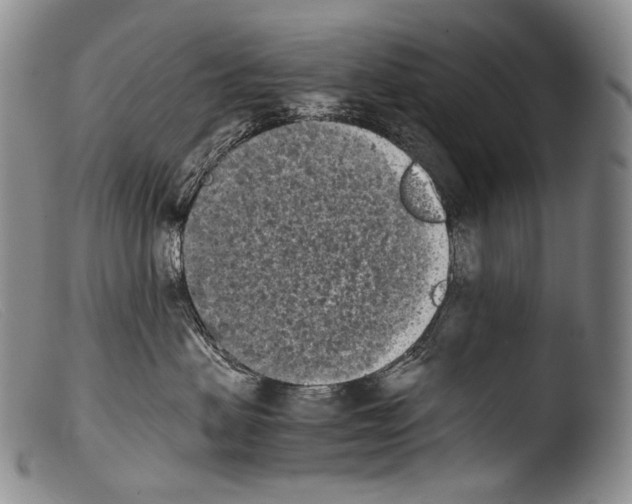 X0000103960479200810311618